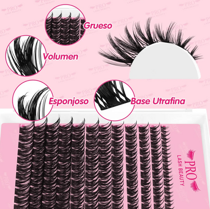Squeeze Lashes